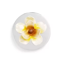 Best Pirce π Michael Aram Pomegranate Large Canister No Color βοΈ