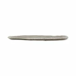 New π Michael Aram Ocean Reef Razor Shell Platter Silver π―