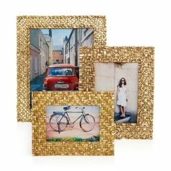 Budget 🎉 Michael Aram Palm Frame Collection ❤️